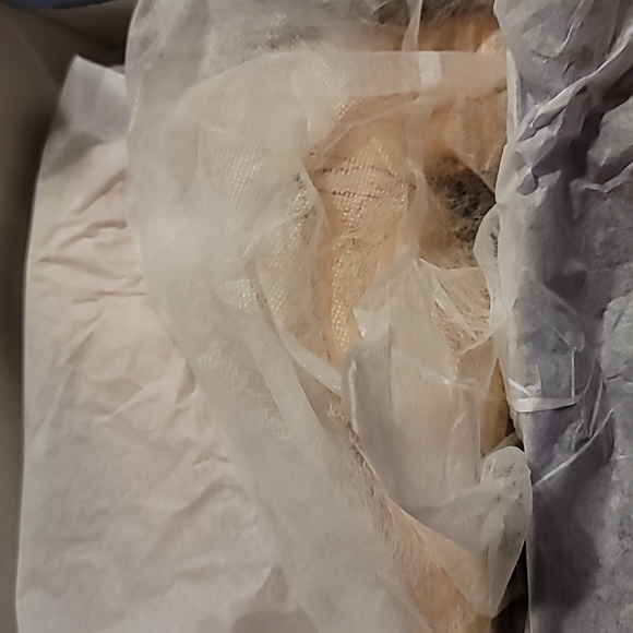 NIB  Ruffle ankle v cut out pointed toe chunky heel dressy western… - Picture 14 of 15